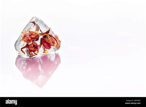 Frozen rose in ice cube. creative photo Stock Photo - Alamy