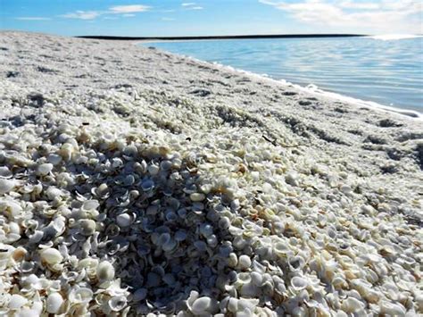 Shell Beach Series Top 15 Most Romantic Beaches On Earth