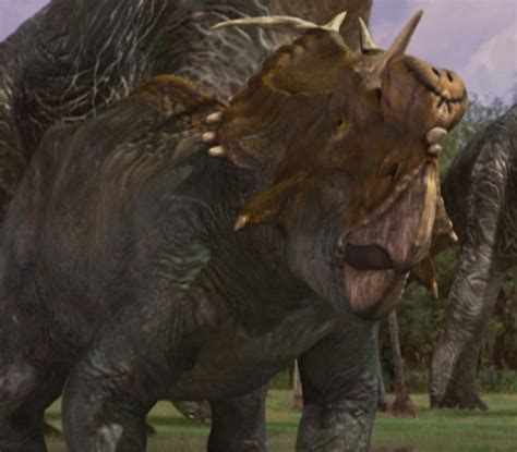 Pachyrhinosaurus Pictures And Facts The Dinosaur Database