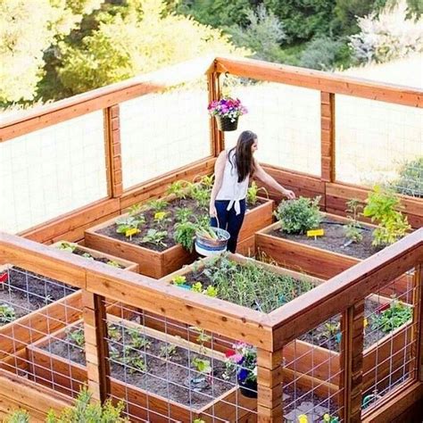 Enclosed Raised Bed Vegetable Garden Gardenbz