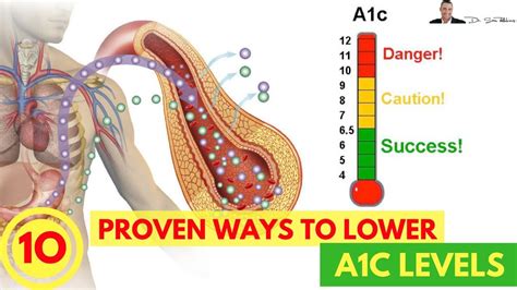 How To Lower Your A C Levels Easy Clinically Proven Ways By