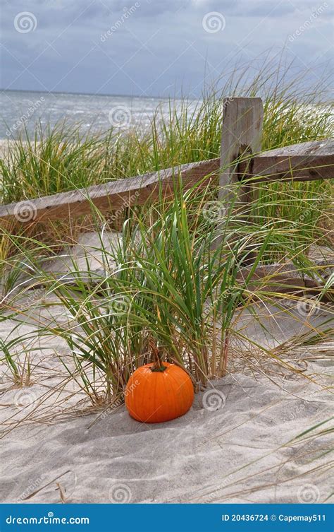 The Beach In Autumn Stock Photo Image Of Chilly Gray 20436724