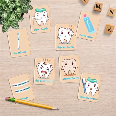 Dental Health Printable Activity For Kids Tooth Anatomy Montessori