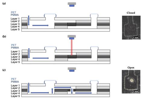 Micromachines Free Full Text Microfluidic Device For The