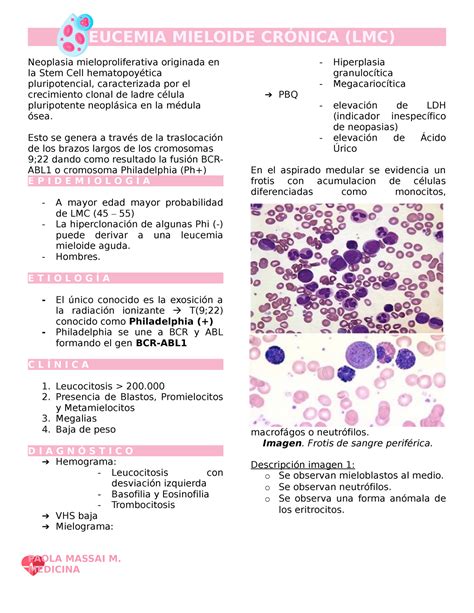 Hematología LMC leucemia mieloide cronica resumen LEUCEMIA MIELOIDE