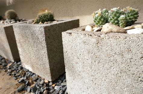 Cacti In Cinder Block Planters Decoist