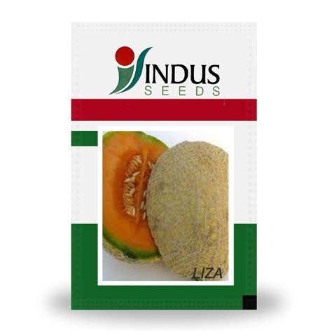 Indus Liza F1 Hybrid Muskmelon Seeds Cultree India