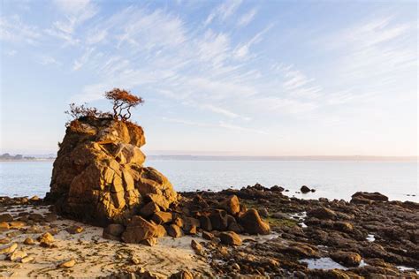 Beg Meil Coin De Paradis En Bretagne Lecoconbyfc Nature Paysage