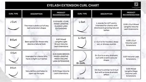 Lash Extension Curl Types How To Choose The Best Lash Curl