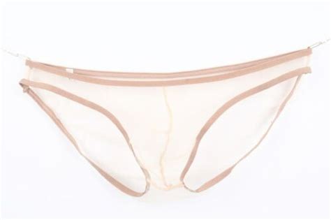 Men S Underwear Ultra Thin Briefs Transparent Mesh Sexy Bikini Male Gay