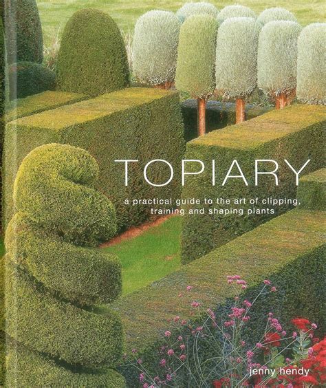 Topiary A Practical Guide To The Art Of Clipping T 6