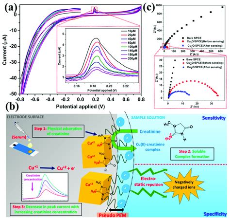 A Cyclic Voltammetric Response Of Sb3c16cu 2 Ospce To 10 200 µm