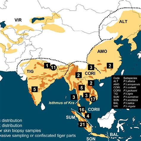 Siberian Tiger Habitat Map