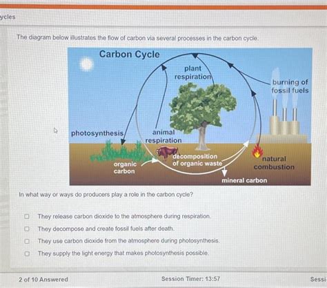 Solved What Way Do Producers Play A Role In The Carbon Cycle