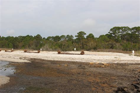 Shorebird_Nesting | Coastal and Marine Laboratory