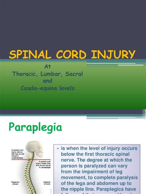 Spinal Cord Injury 23892295 | PDF