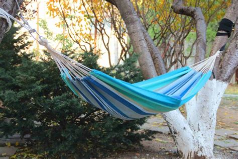 Mesmerizing Hammock Design Taken From Pinterest Live Enhanced