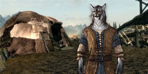 Skyrim: Where to Find the Khajiit Traders