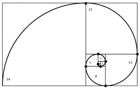 La Guía de la Proporción Áurea para Diseñadores Gráficos Proporcion