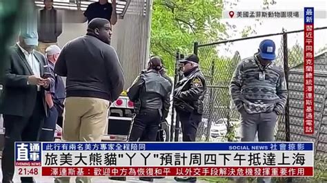 记者连线｜旅美大熊猫“丫丫”离开动物园启程回国凤凰网视频凤凰网