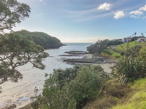 Goat Island Marine Reserve | Auckland, New Zealand - Let's Be Explorers