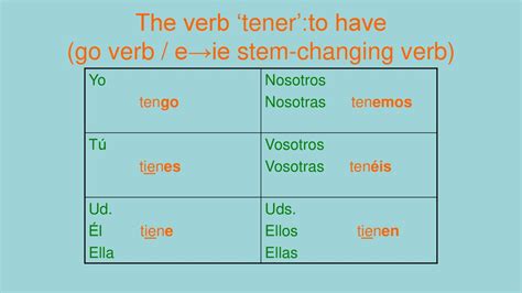 Possessive Adjectives Ppt Descargar