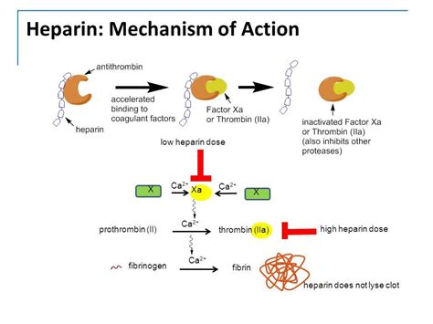 Heparin side effects in elderly: Heparin (Intravenous Route, Subcutaneous Route) Side Effects