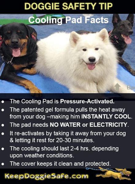 Cool Pet Dog Cooling Pad – Keep Doggie Safe