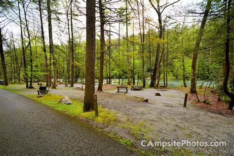 Audra State Park - Campsite Photos, Camping Info & Reservations