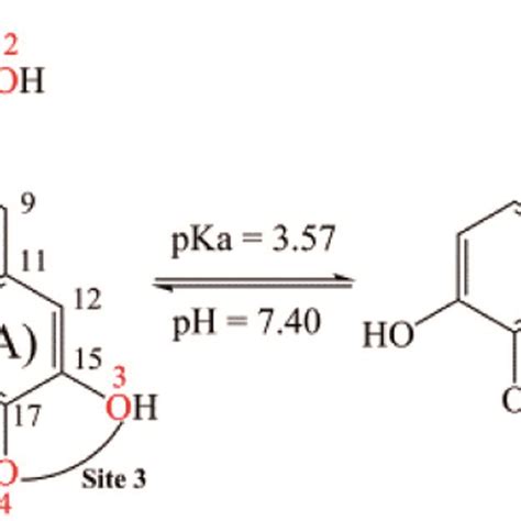 2D Structures Of R Rosmarinic Acid RA And Its Mono Anion Form Under