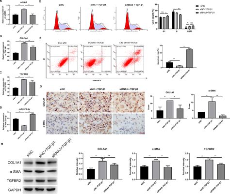 Figure From Hsa Circ Mir P Modulates Hepatic Stellate