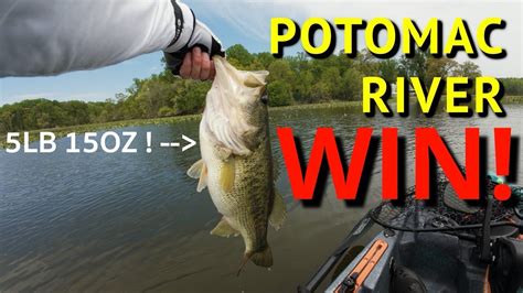 Potomac River Win Epic Bite In Kayak Bass Tournament Youtube