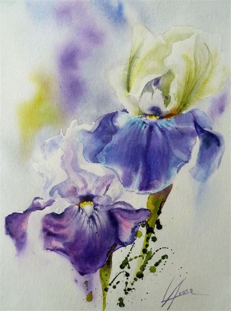 Aquarelle Iris X Flower Artwork Watercolor Flowers Paintings