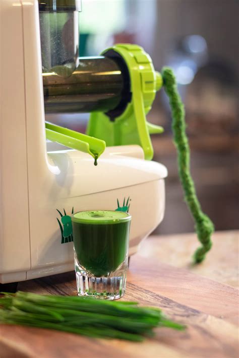 Dr Squeeze Green Queen Household Electric Wheatgrass Juicer