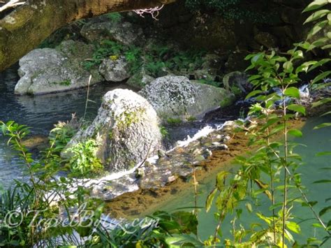 Cheonjiyeon Waterfall (천지연 폭포) - Travel Bytez