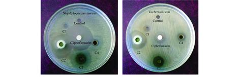 Antibacterial Activity Of Ternary Schiff Base Cu Ii Complexes