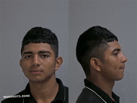 JAIME EMIR 06 15 2024 Hidalgo County Mugshots Zone