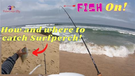 Surfperch Fishing At Montara State Beach Youtube