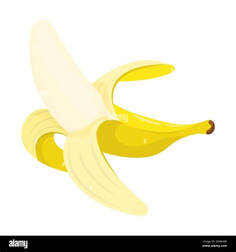 Whole Ripe peeled yellow banana. Harvesting tropical fruits. Healthy fruit in cartoon style ...