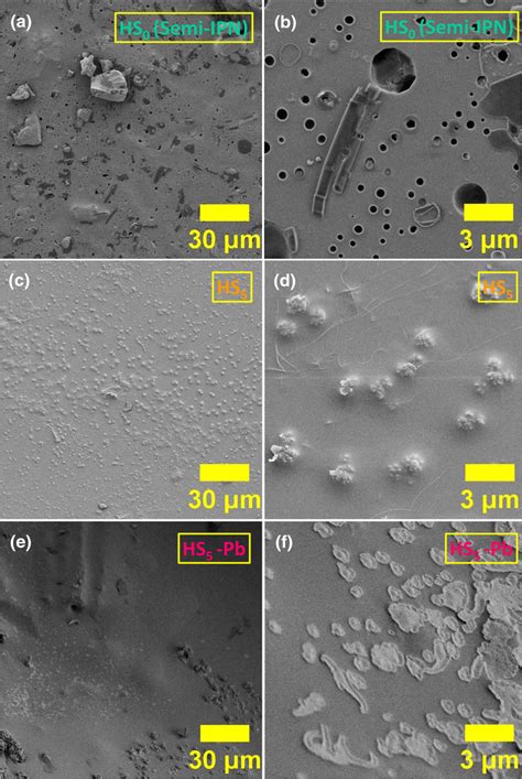 FE SEM Images Of A HS0 C HS5 And E HS5 Pb And High Magnification