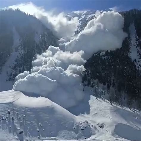 Snow Avalanche Hits Sarbal Sonamarg No Casualties Or Damage Reported