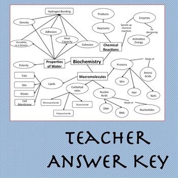 Biochemistry Concept Map: Macromolecules, Enzymes & Properties of Water