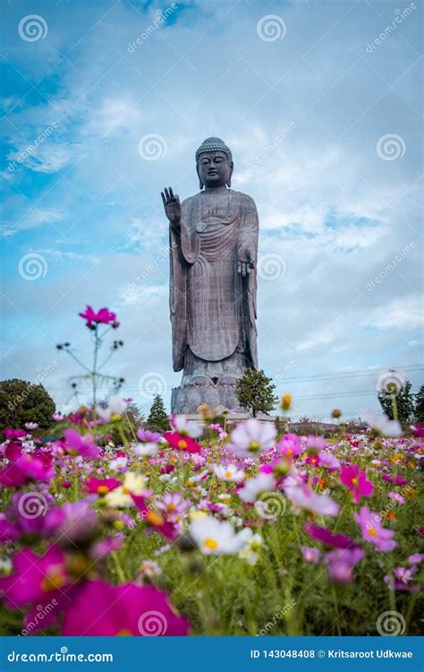 Ushiku Daibutsu World Tallest Bronze Statue Of Buddha Editorial Photo