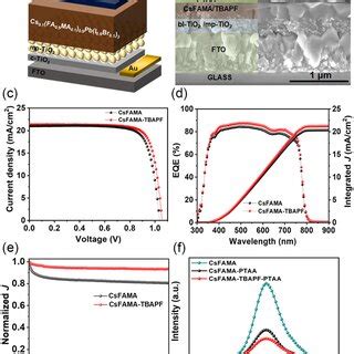 A Device Architecture Adopted In This Work B Crosssectional Sem