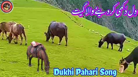 New Dukhi Gojri Bait Awaz Safeer Naz Gojri Song Pahari Geet 2024