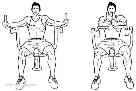 Butterfly Pec Deck Seated Machine Fly Illustrated Exercise Guide