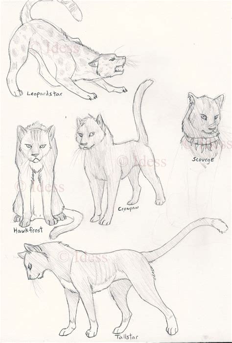 25 Beautiful Sketch how to draw a warrior cat for Adult | Sketch Drawing For Beginner