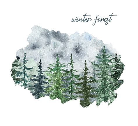 Watercolor Winter Forest Landscape Background With Pine And Spruce Snowy Trees Stock