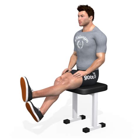 Bench Knee Extension Seated Assisted Video Exercise Guide