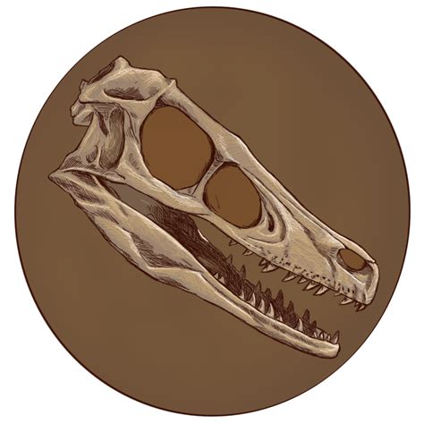 Dinosaur Skull Drawing at GetDrawings | Free download